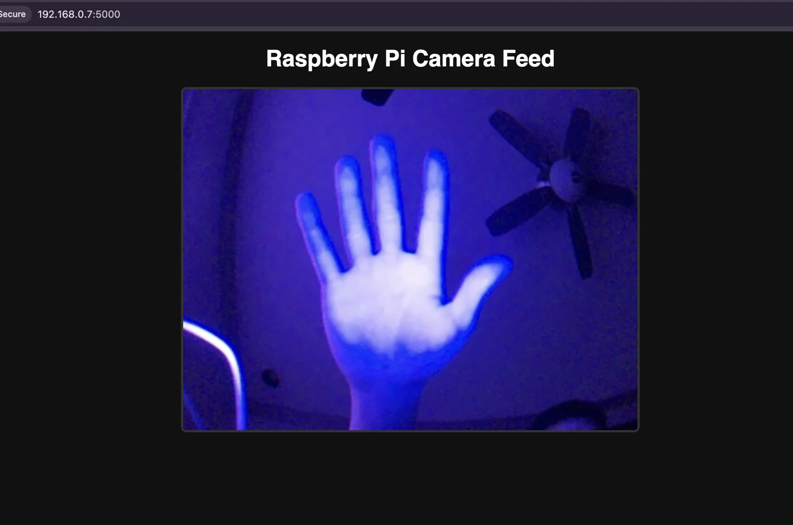 Night-vision image captured through the live camera interface.